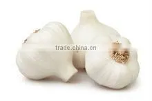 Fresh White Garlic thumbnail-1