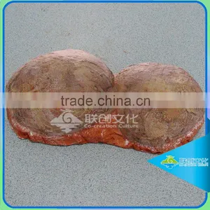 Dino Park Famous Decorations Lifelike Dinosaur Egg Models thumbnail-2