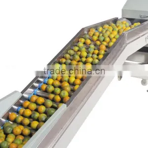 Stainless Steel Radish Potato Carrot Ginger Beet Washing Machine thumbnail-2