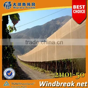 HDPE High Tensile Windbreak Shade Netting For Harbor and Building thumbnail-1