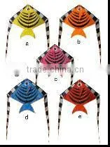 Kites thumbnail-1