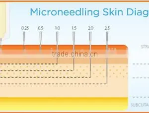 Best Anti Aging Microneedle Derma Pen Device/derma Pen Needles for Salon thumbnail-6