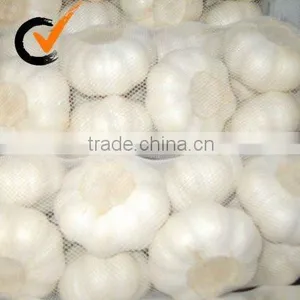 Fresh Garlic thumbnail-2