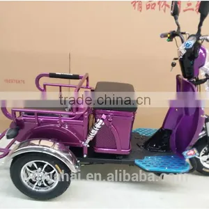 China Factory Export Three Wheel Electric Tricycle Cargo Bike 48V 500W thumbnail-6