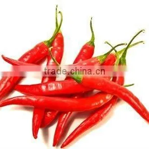 2012 Red Color/dried Chilli --to Buy Right Now!!! New Crop thumbnail-1