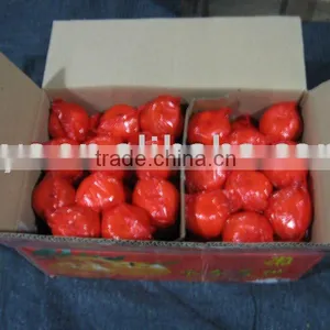 Lugan Orange thumbnail-1