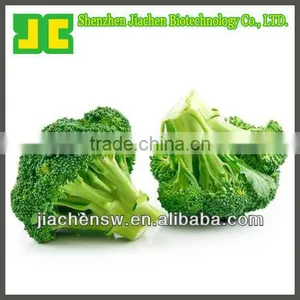 Sell 100%Natural Broccoli Powder Extract thumbnail-1