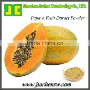 Organic Dried Papaya Fruit Extract Powder/P.E. in 5:1&10:1 With High Quality thumbnail-1
