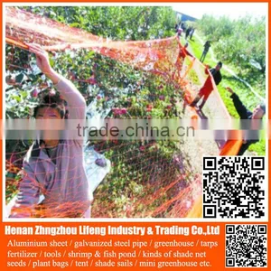 Hot Selling Orchard HDPE Knotted Mesh Bird Netting / pe Anti Bird Net / Platic Bird Protection Net on Grapes thumbnail-1