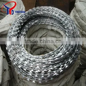 Barbed Wire Security Fence thumbnail-4