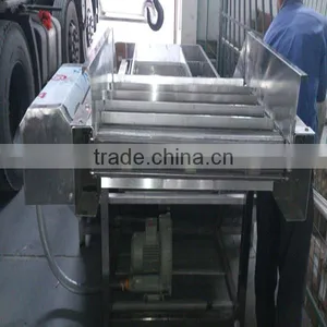 Ice Glazing Machine With Good Performance and High Capacity thumbnail-2