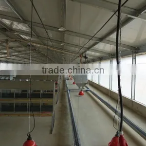 New Design Chicken Shed thumbnail-5