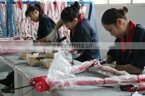 Chongqing Hongmei Technology Co., Ltd. company overview - view 3 thumbnail