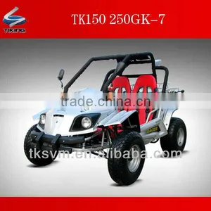 TIKING 250cc Racing Go Kart thumbnail-1
