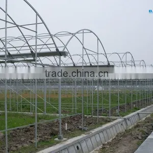 BaoLiDa Agricultural Greenhouse thumbnail-2