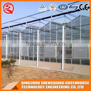 China Factory Direct Steel Frame Glass Greenhouse Ventilation System thumbnail-4