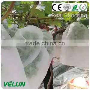 Agriculture Nonwoven Fabric Non-woven Fabrics thumbnail-2