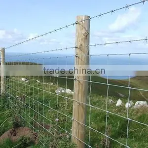 2.4mm*2.0mm High Tension Farm Fencing and Wire Mesh Sheep Fence thumbnail-4