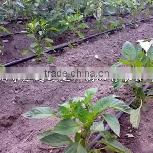 Drip Pipe With Round Dripper thumbnail-6