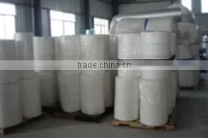 pp Non-woven Rolls Coated PE thumbnail-1