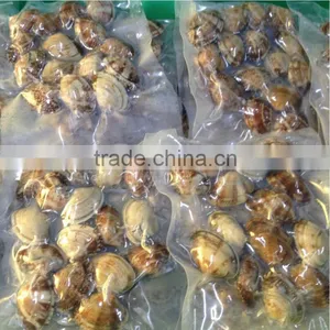 Frozen Vacuum Clam With Shell IQF thumbnail-1