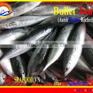 W/R FROZEN BULLET TUNA thumbnail-1