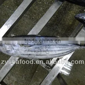 Frozen Fish Frozen Spanish Mackerel thumbnail-1