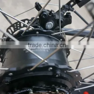48v 750w Strong Powered Brushless Hub Motor Electric Bicycle Fat Tire Electric Bike thumbnail-4