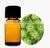 Angelica Root Oil thumbnail-1