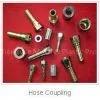 Hose Coupling thumbnail-1