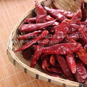 Pepper Drying Machine thumbnail-4