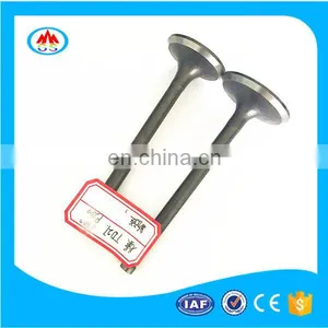 Intake Valve Exhaust Valve Engine Valve for Mitsubishi Pajero-sport Gls Glx io V31 thumbnail-6