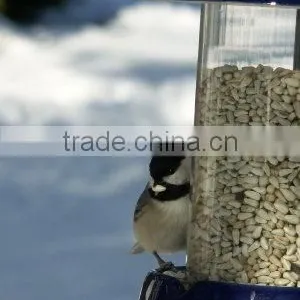 SAFFLOWER SEED thumbnail-1