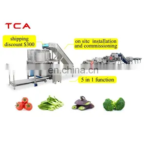 SUS 304/ 316 Commercial Vegetable Cleaning Dehydrating Processing Line With CE thumbnail-1