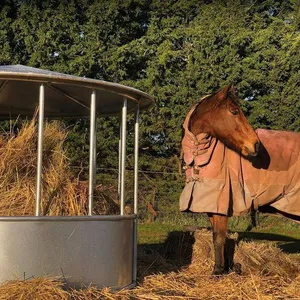 Waterproof Round Bale Feeder for Cattle Sheep and Horse With Cover Roof for Farm Trellis & Gates thumbnail-6
