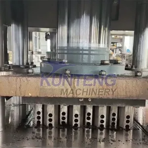Uganda Charcoal Briquette Machine Automatic Coke Coal Dust Powder Briquette Pressing Bbq Charcoal Machine EPC thumbnail-4
