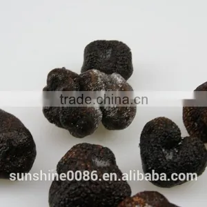 Chinese Frozen Black Truffle From Yunnan China thumbnail-2