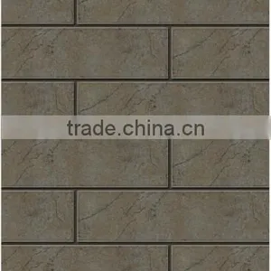 3D Inkjet Glazed Outdoor Wall Tile China Manufacturer thumbnail-3