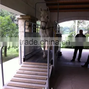 Horse Equipment Equine Treadmill thumbnail-1