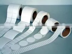 Polyimide Labels Suitable for Heat Transfer Printing thumbnail-1