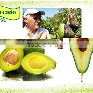 Avocado Oil (virgin-cold Pressed) thumbnail-1
