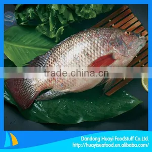 Frozen Tilapia Live Tilapia Fish thumbnail-1