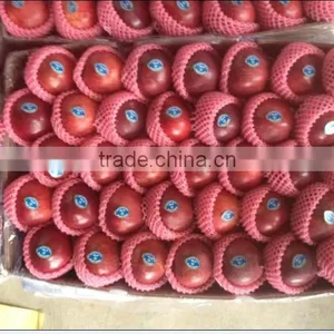 Chinese Huaniu Apple Exporting thumbnail-2