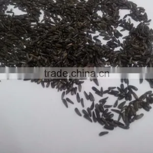Niger Seed Nyjer Seeds From INDIA ( NSI) thumbnail-1