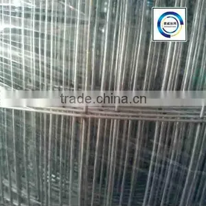 Anping Factory Pvc Coated/ Galvanized Welded Wire Mesh Roll thumbnail-1