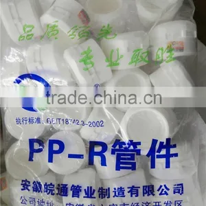 Cheap and Fine PPR Pipe Fitting Plug thumbnail-4