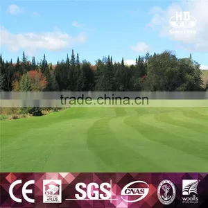 China Suppliers Newest Design Top Quality PE Artificial Turf Grass For Golf thumbnail-4