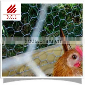 Plastic Coated Chicken Wire Netting thumbnail-1