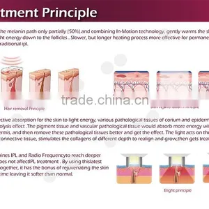 Vertical Type 3 in 1 Alexandrite Laser Best Shr Ipl Machine Hair Removal for Skin Rejuvenation thumbnail-6