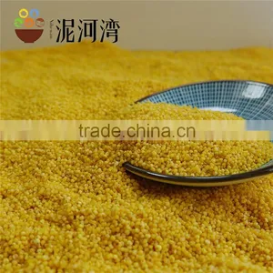 Millet Yellow Millet 2016 Crop High Quality Market Price thumbnail-2